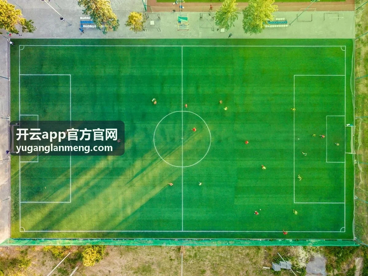 开云app官方官网支持人员提供针对性使用协助